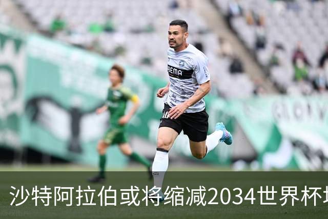 沙特阿拉伯或将缩减2034世界杯场馆计划，空中球场再度搁置